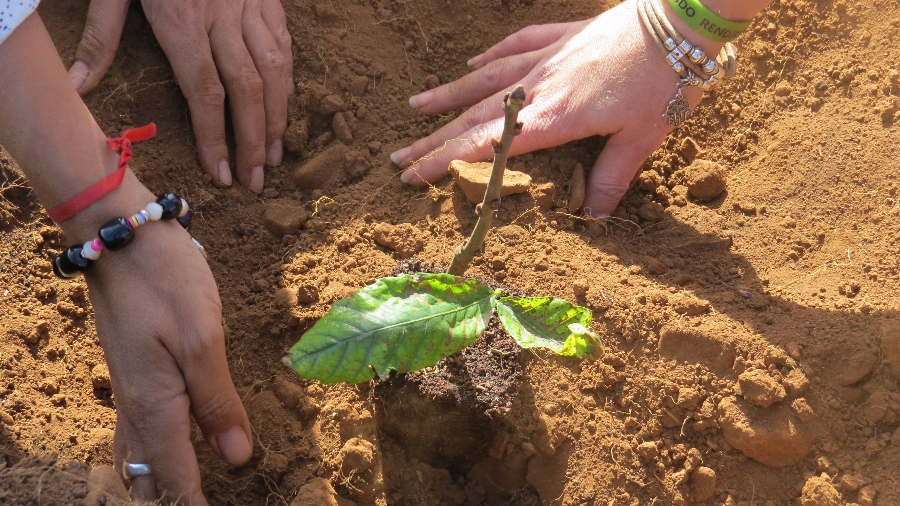 Los empleados de SAGULPA se unen para recuperar la cumbre de la Isla
