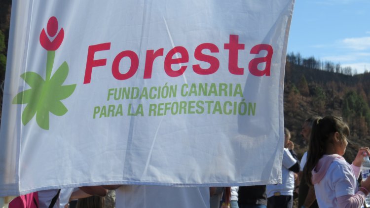 Los empleados de SAGULPA se unen para recuperar la cumbre de la Isla