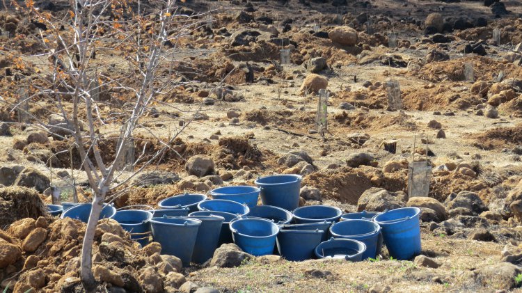 Los empleados de SAGULPA se unen para recuperar la cumbre de la Isla