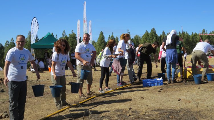 Los empleados de SAGULPA se unen para recuperar la cumbre de la Isla