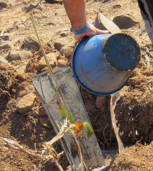Los empleados de SAGULPA se unen para recuperar la cumbre de la Isla