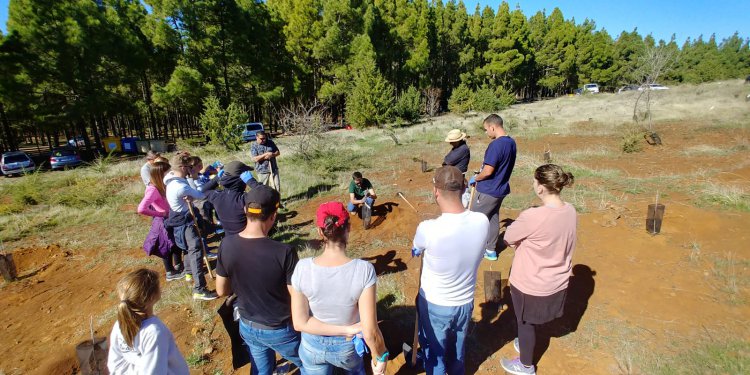Compromiso e inclusión, protagonistas de la segunda jornada de reforestación de SAGULPA en la cumbre de la Isla