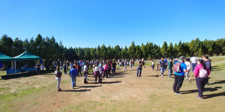 Compromiso e inclusión, protagonistas de la segunda jornada de reforestación de SAGULPA en la cumbre de la Isla