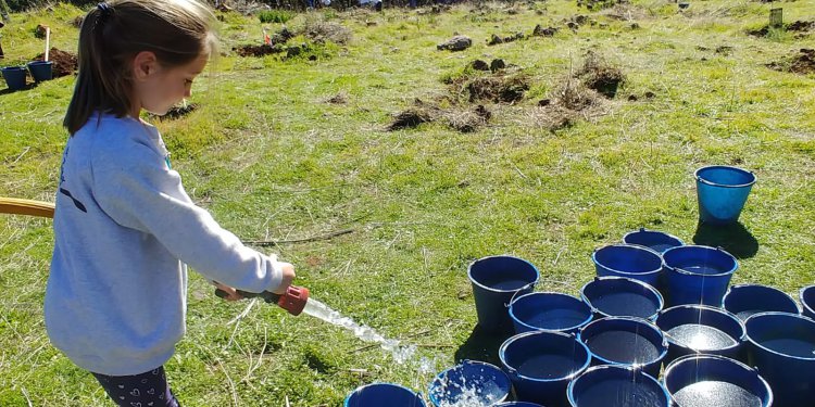 Compromiso e inclusión, protagonistas de la segunda jornada de reforestación de SAGULPA en la cumbre de la Isla
