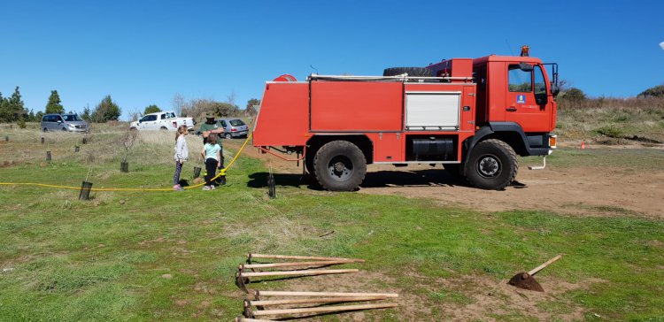 Compromiso e inclusión, protagonistas de la segunda jornada de reforestación de SAGULPA en la cumbre de la Isla