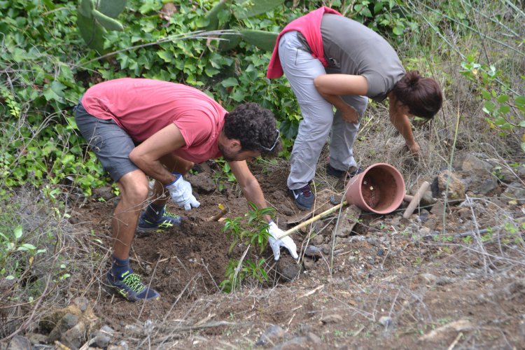 SAGULPA convoca la II edición de sus ayudas para Acción Social