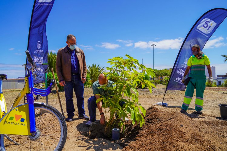 LPGC celebra el Día de la Tierra y reconoce al usuario que más CO2 ha evitado emitir usando la Sítycleta