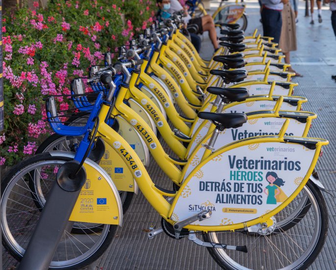 Veterinarios, los héroes detrás de tus alimentos, también se mueven en Sítycleta