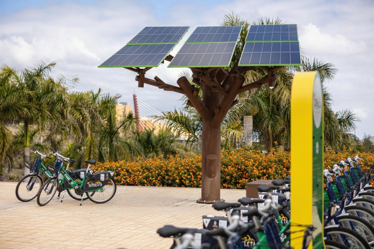 Sagulpa instala un árbol solar que suministrará energía verde a la estación de Sítycletas eléctricas en La Ballena